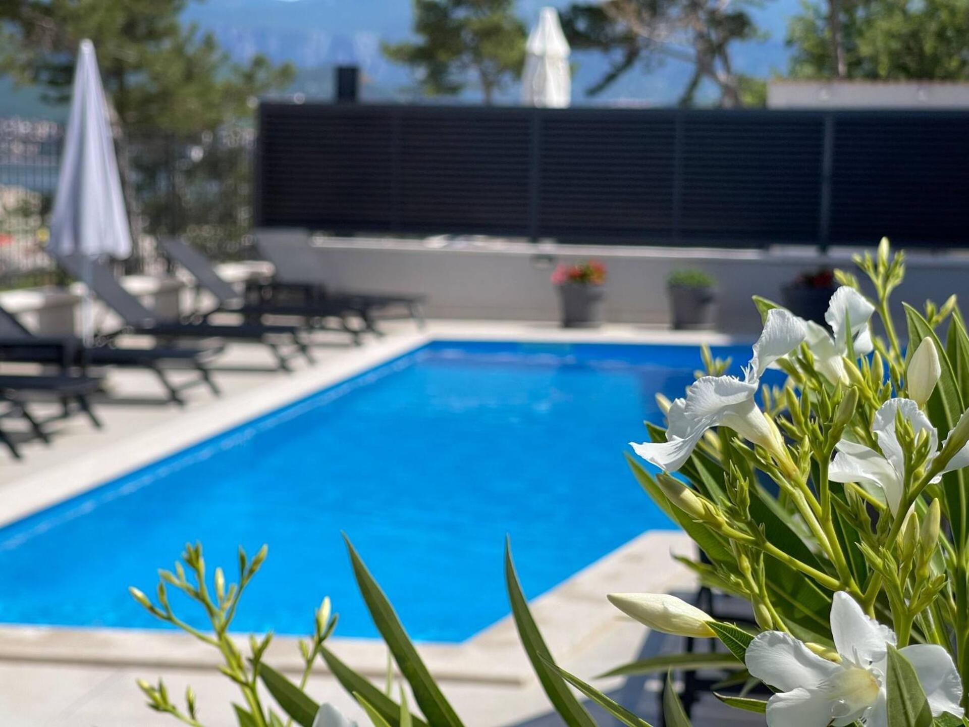 Villas Punta Silo - Luxury Apartments With Pool Exterior photo